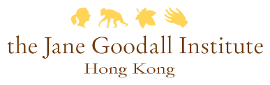 the Jane Goodall Institute Hong Kong